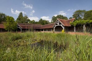 Read more about the article Chithurst Monastery