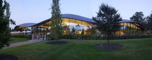 Read more about the article Savill Garden Gridshell