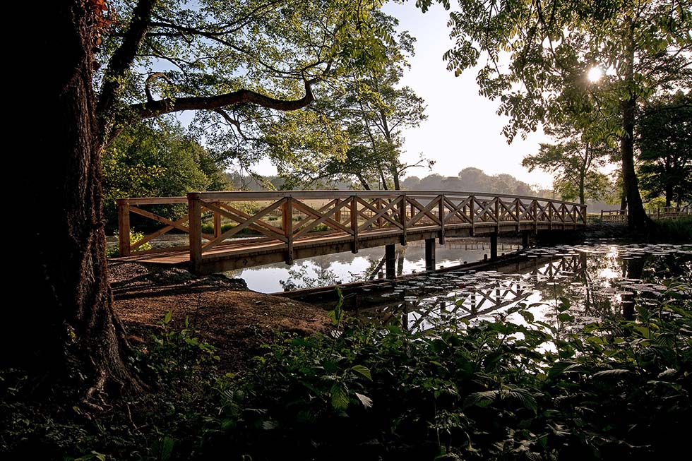 Stowe Bridge, oak bridge