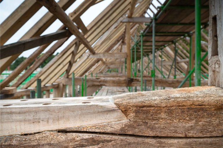 Read more about the article What is Green Oak? A Simple Guide