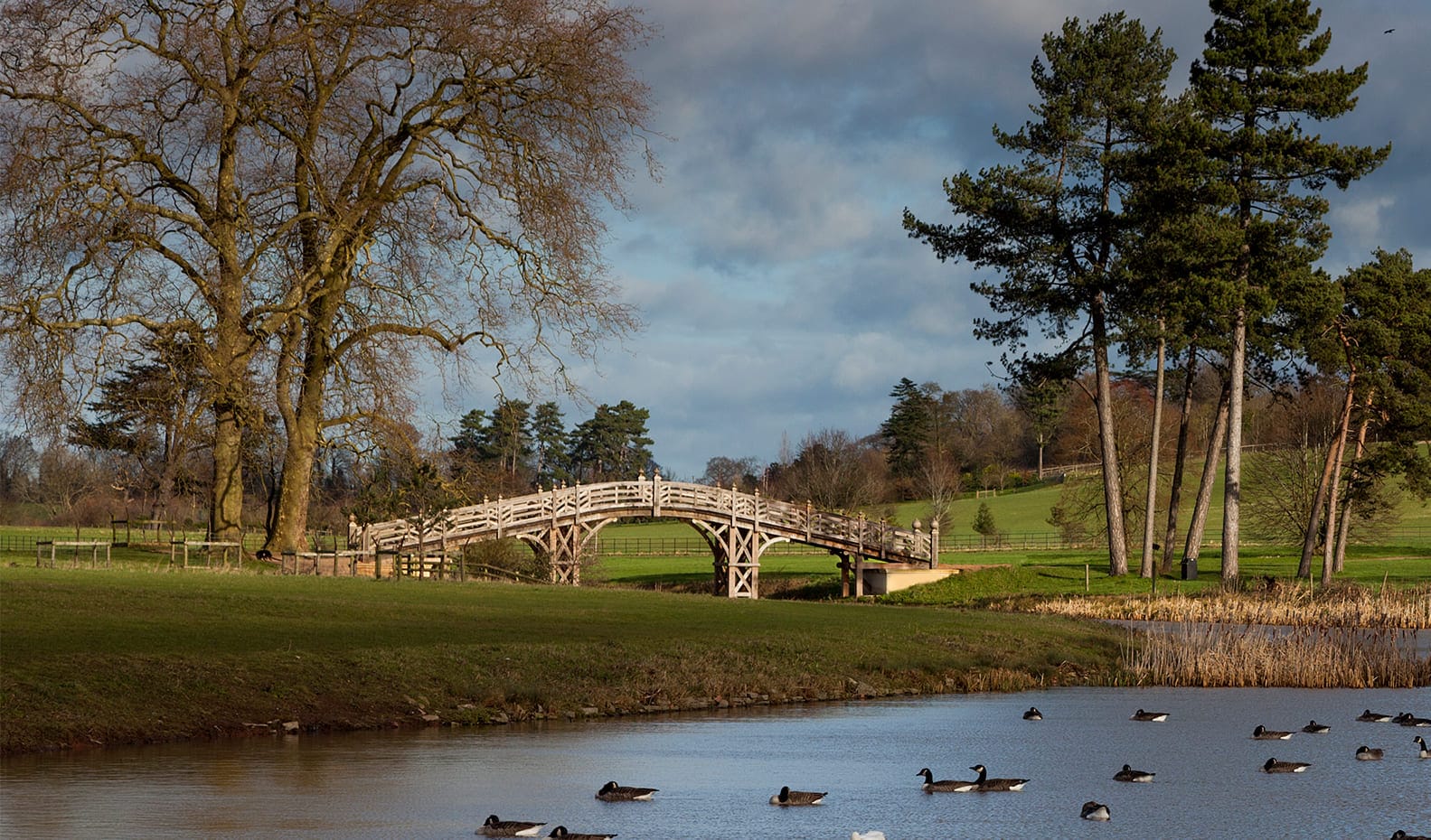 oak bridge