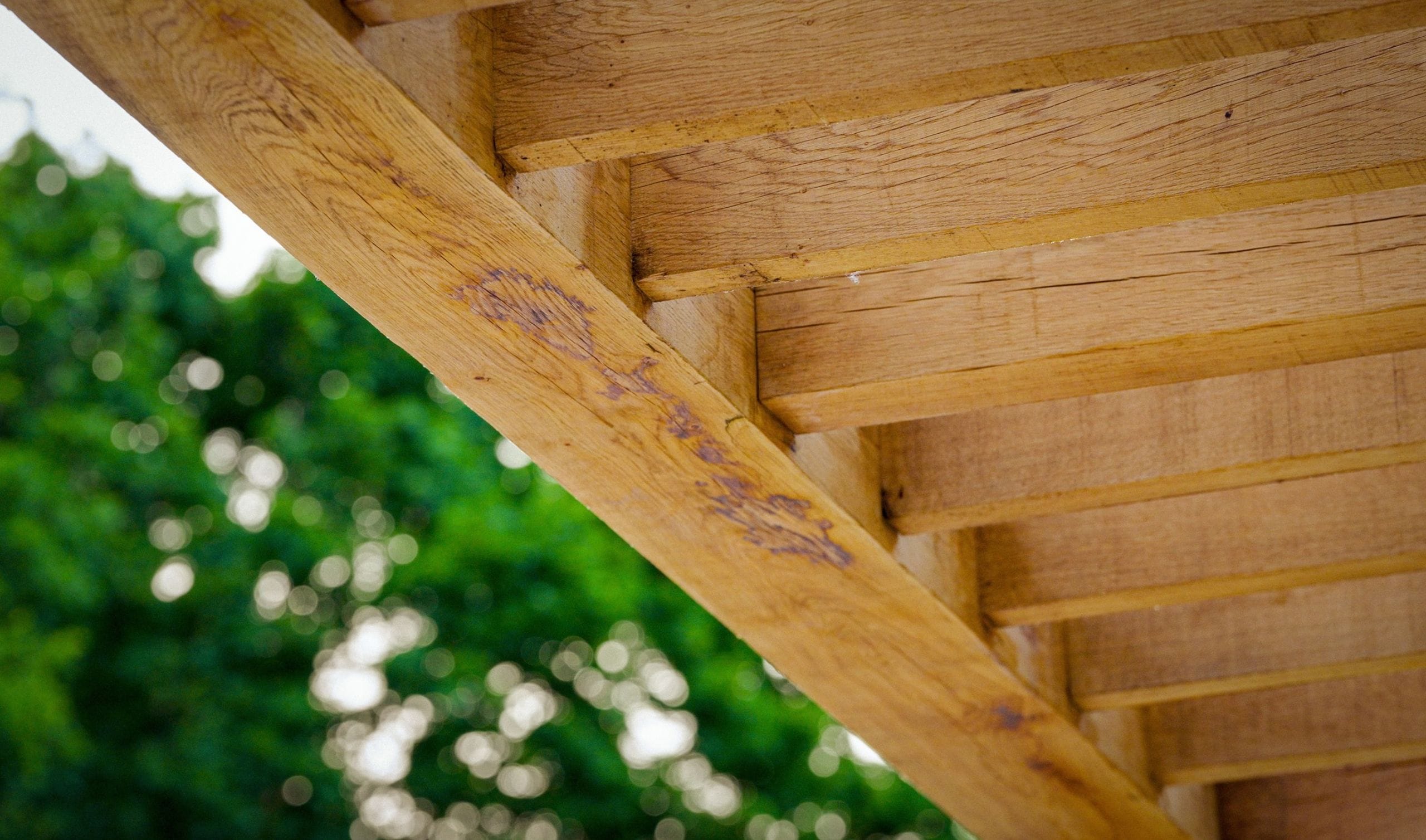 Oak frame pergola roof close up