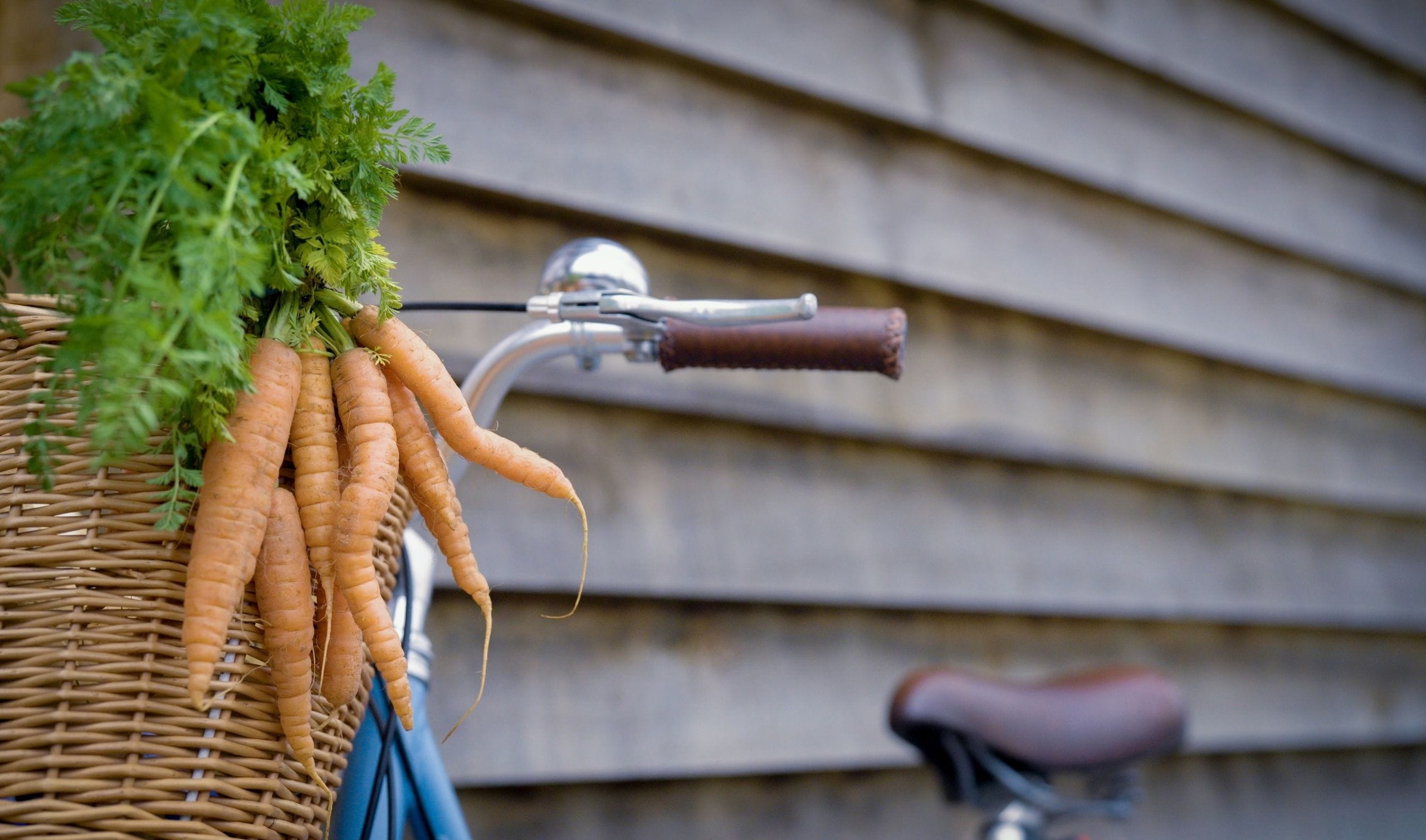 Rushmere Farm imagery