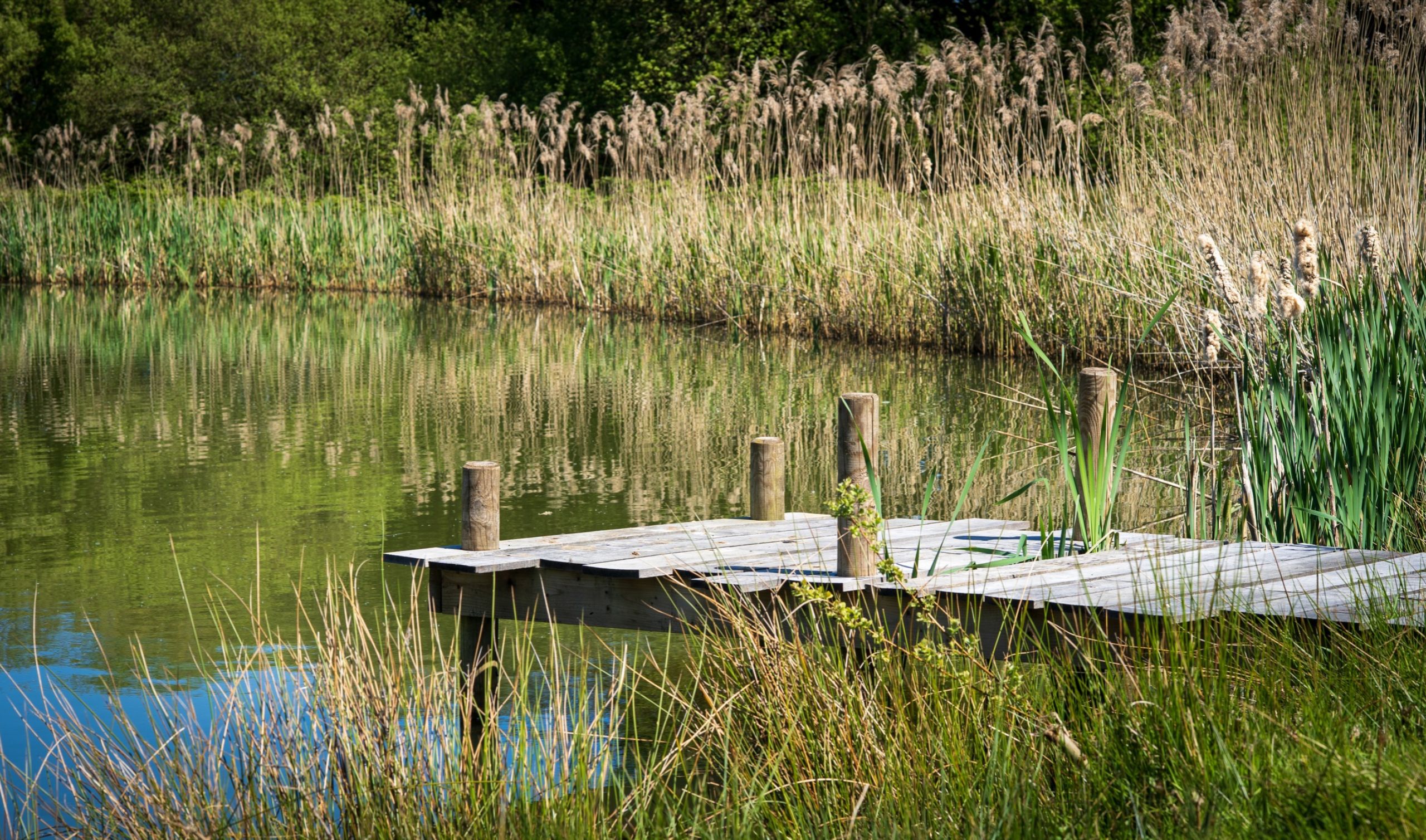 lakeside setting in the isle of wight with oak jetty